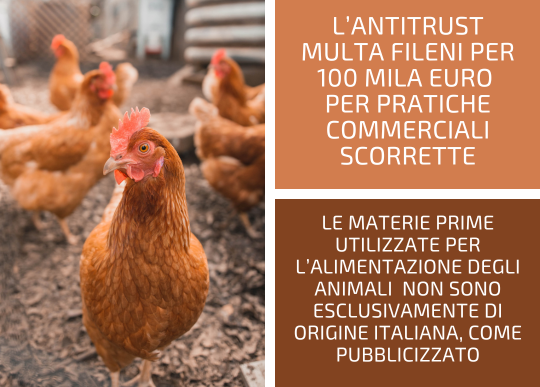 antitrust multa fileni.png